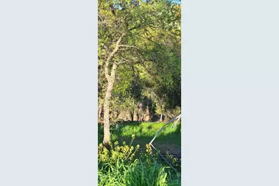 10470 Chicharra Ct, Coulterville, CA 95311 - Photo 4