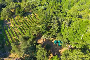 359 Canham Rd, Scotts Valley, CA 95066 - Photo 60