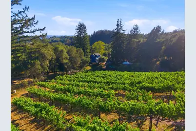 359 Canham Rd, Scotts Valley, CA 95066 - Photo 48