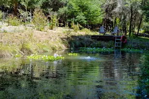 900 Larsen Rd, Aptos, CA 95003 - Photo 82