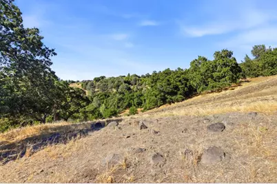 16620 Rustling Oak Ln, Morgan Hill, CA 95037 - Photo 44