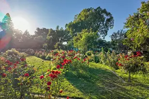1303 39th St, Sacramento, CA 95816 - Photo 40