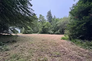 6975 La Honda Rd, La Honda, CA 94020 - Photo 10