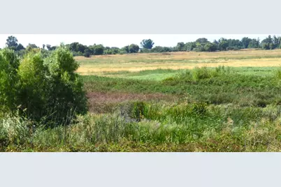 Holland Tract Rd, Knightsen, CA 94548 - Photo 1