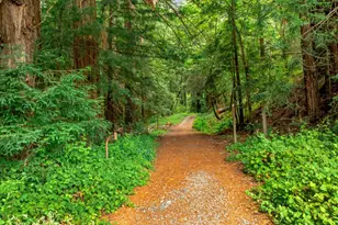 27 Willis Rd, Scotts Valley, CA 95066 - Photo 8