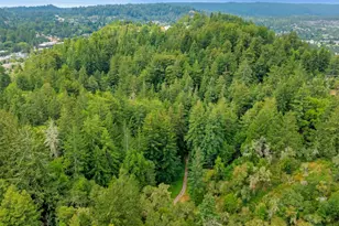 27 Willis Rd, Scotts Valley, CA 95066 - Photo 12