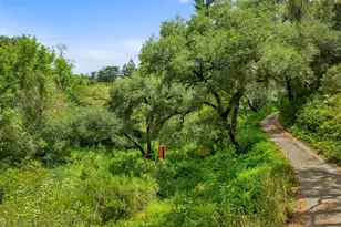27 Willis Rd, Scotts Valley, CA 95066 - Photo 16