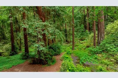 27 Willis Rd, Scotts Valley, CA 95066 - Photo 4