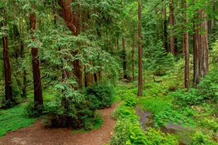 27 Willis Rd, Scotts Valley, CA 95066 - Photo 4