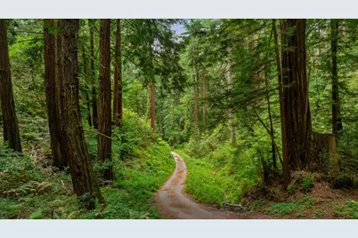 27 Willis Rd, Scotts Valley, CA 95066 - Photo 10