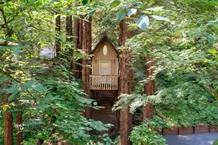7034 Scotts Valley Dr, Scotts Valley, CA 95066 - Photo 62
