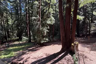 17388 Tressel Pass Rd, Boulder Creek, CA 95006 - Photo 36