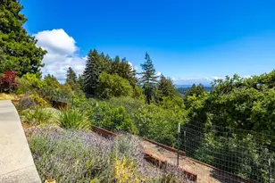 1081 Avocado Rd, Watsonville, CA 95076 - Photo 62