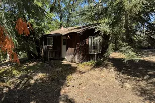 245 Bonita Rd, Portola Valley, CA 94028 - Photo 8