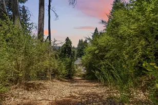 16595 Jamison Creek Rd, Boulder Creek, CA 95006 - Photo 32