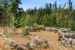 16595 Jamison Creek Rd, Boulder Creek, CA 95006 - Photo 30