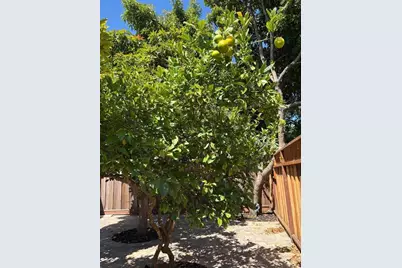 420 Pilgrim Dr, Capitola, CA 95010 - Photo 50
