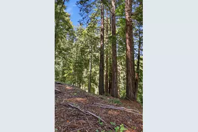 375 Blair Ranch Rd, Scotts Valley, CA 95066 - Photo 46