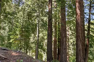 375 Blair Ranch Rd, Scotts Valley, CA 95066 - Photo 46