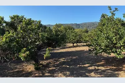 25900 Vinedo, Los Altos Hills, CA 94022 - Photo 2
