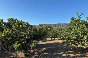 25900 Vinedo, Los Altos Hills, CA 94022 - Photo 2