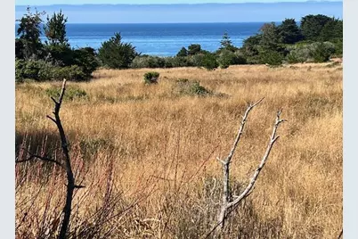 375 Spur Close, The Sea Ranch, CA 95497 - Photo 12