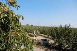 7861 Whitworth Rd, Gustine, CA 95322 - Photo 2