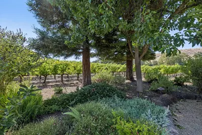 1295 Lions Peak Ln, San Martin, CA 95046 - Photo 86