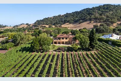 1295 Lions Peak Ln, San Martin, CA 95046 - Photo 4