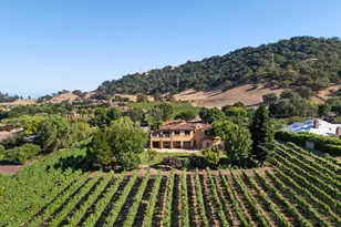 1295 Lions Peak Ln, San Martin, CA 95046 - Photo 4