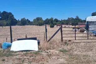 7370 Doc Adams Rd, Marysville, CA 95901 - Photo 12
