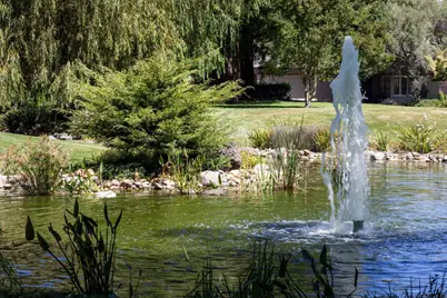 6 Bay Tree, Los Altos, CA 94022 - Photo 36