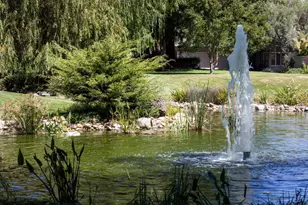 6 Bay Tree, Los Altos, CA 94022 - Photo 36