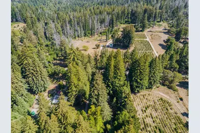 6790 Bonny Doon Rd, Santa Cruz, CA 95060 - Photo 42