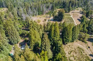 6790 Bonny Doon Rd, Santa Cruz, CA 95060 - Photo 42