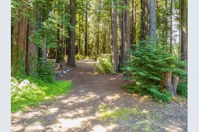 6790 Bonny Doon Rd, Santa Cruz, CA 95060 - Photo 48