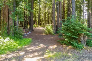 6790 Bonny Doon Rd, Santa Cruz, CA 95060 - Photo 48