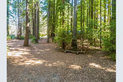 6790 Bonny Doon Rd, Santa Cruz, CA 95060 - Photo 46