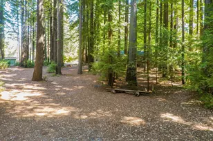 6790 Bonny Doon Rd, Santa Cruz, CA 95060 - Photo 46