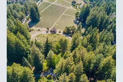 6790 Bonny Doon Rd, Santa Cruz, CA 95060 - Photo 40