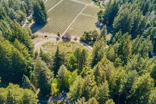 6790 Bonny Doon Rd, Santa Cruz, CA 95060 - Photo 40
