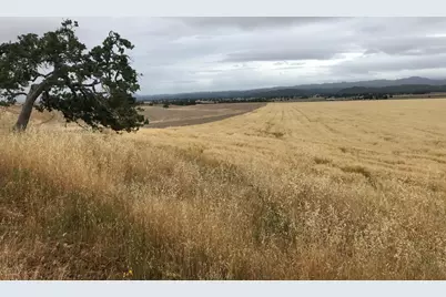 50325 Paulsen Rd, Lockwood, CA 93932 - Photo 18