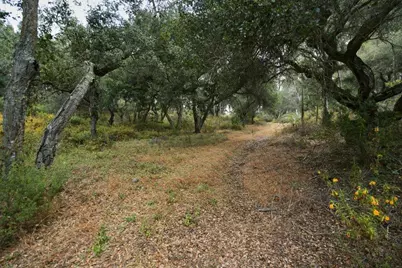 0 Valle Pacifico Rd, Salinas, CA 93907 - Photo 24