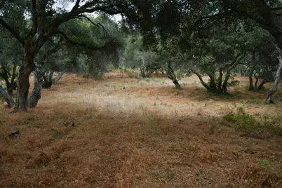 0 Valle Pacifico Rd, Salinas, CA 93907 - Photo 34