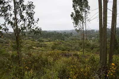 0 Valle Pacifico Rd, Salinas, CA 93907 - Photo 18