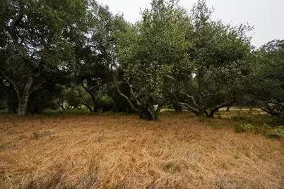 0 Valle Pacifico Rd, Salinas, CA 93907 - Photo 32