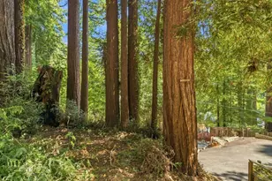191 High St, Brookdale, CA 95007 - Photo 42