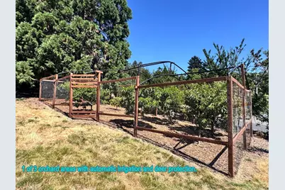 Black Rd, Los Gatos, CA 95033 - Photo 40