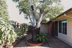340 Walnut Ln, Gilroy, CA 95020 - Photo 28
