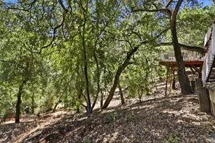 17076 Shady Ln Dr, Morgan Hill, CA 95037 - Photo 40